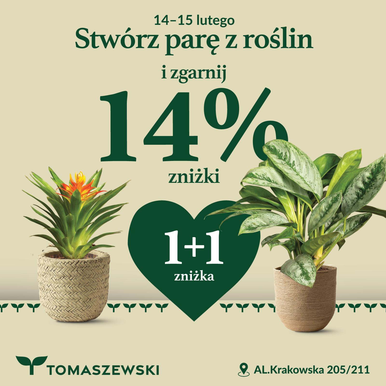 Stwórz parę z roślin Walentynki w Tomaszewski